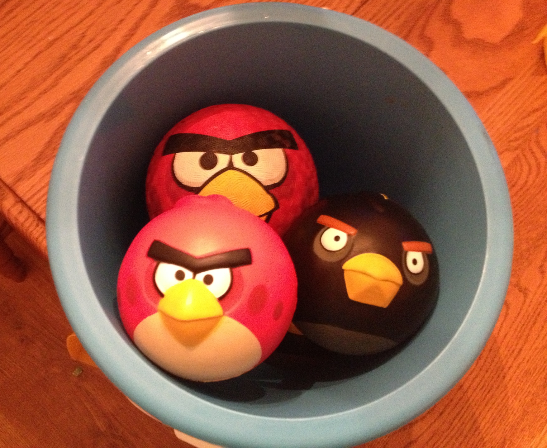 Angry Birds in a Bucket