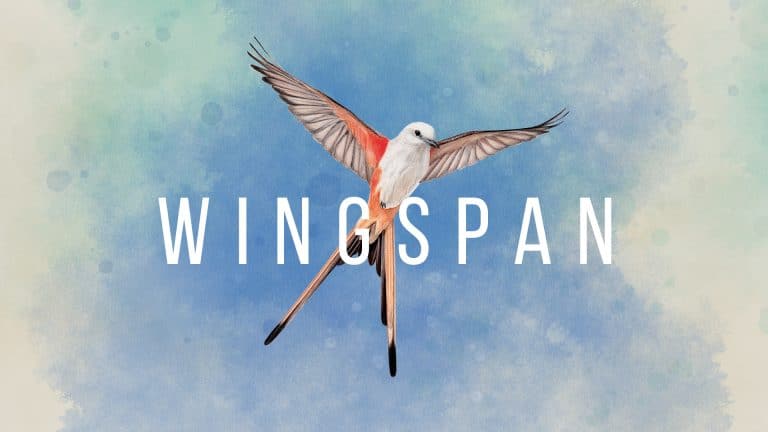 wingspan-switch-hero